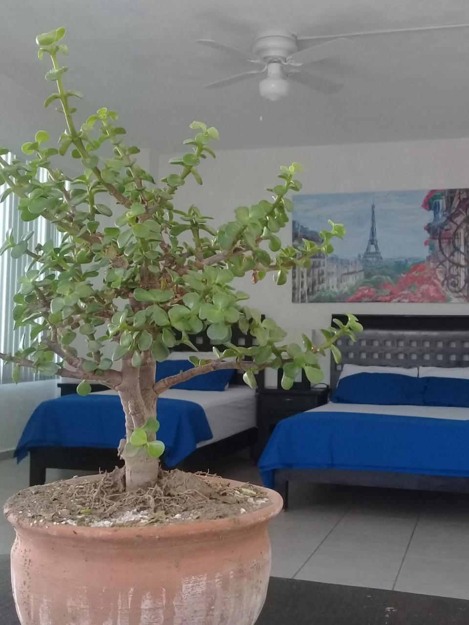 Posada San Cristobal Cuernavaca Exteriér fotografie